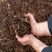 Picture of Second Harvest Wood Mulch 1M3