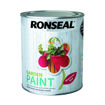 Picture of Ronseal Garden Paint Moroccan Red 750ml
