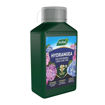 Picture of Westland Hydrangea Specialist Liquid Plant Food 1L