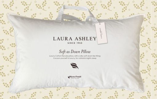 Picture of Laura Ashley Soft As Down Pillow x1