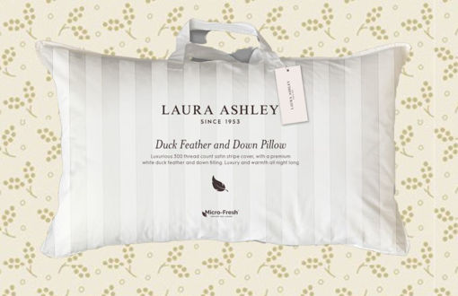 Picture of Laura Ashley Duck Feather And Down Pillow x1