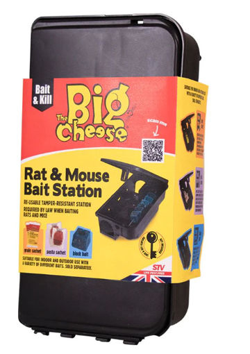 Picture of Big Cheese Rat & Mouse Bait Station