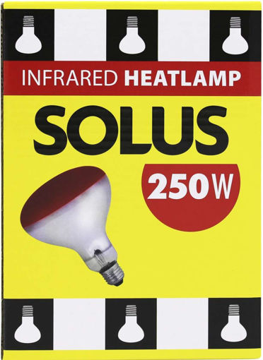 Picture of Solus Infrared Bulb 250w