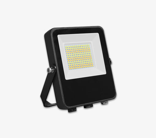 Picture of Lumeno Hybrid Series 50W Cct Flood Lamp