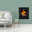 Picture of Stanley Cara Glass Insert Eco Stove 6.5kW