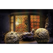 Picture of 1.75x1.2m 180L M-A Net Light Warm White LEDs