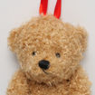 Picture of Plush Toy Teddy Bear