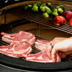Picture of Kamado Joe Classic I BBQ